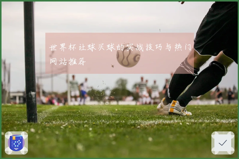 世界杯让球买球的实战技巧与热门网站推荐