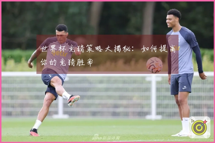 世界杯竞猜策略大揭秘：如何提高你的竞猜胜率