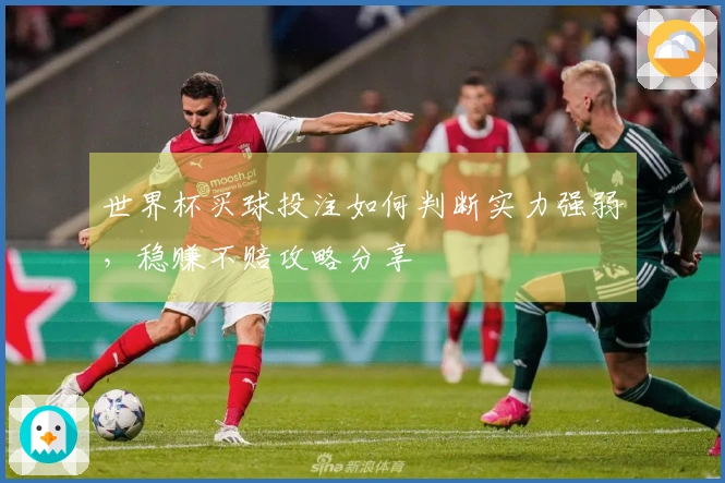 世界杯买球投注如何判断实力强弱，稳赚不赔攻略分享