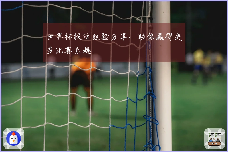 世界杯投注经验分享，助你赢得更多比赛乐趣