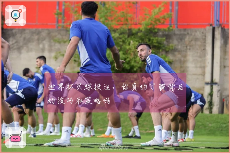 世界杯买球投注，你真的了解背后的技巧和策略吗