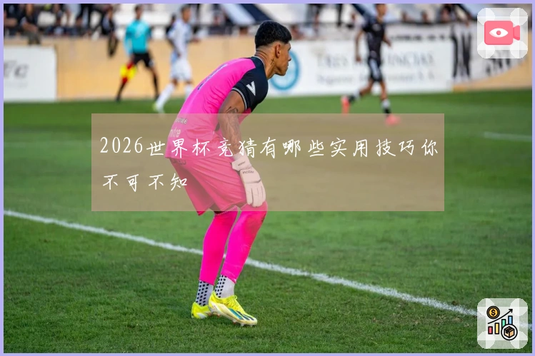 2026世界杯竞猜有哪些实用技巧你不可不知
