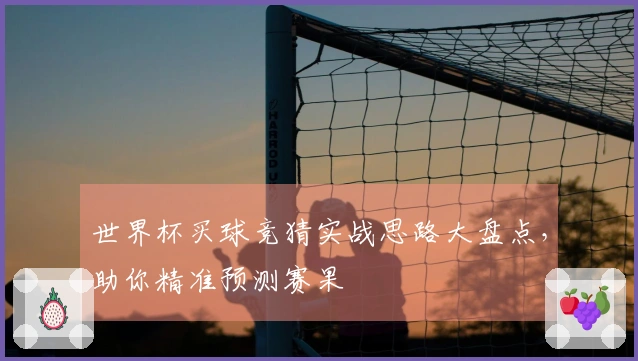 世界杯买球竞猜实战思路大盘点，助你精准预测赛果