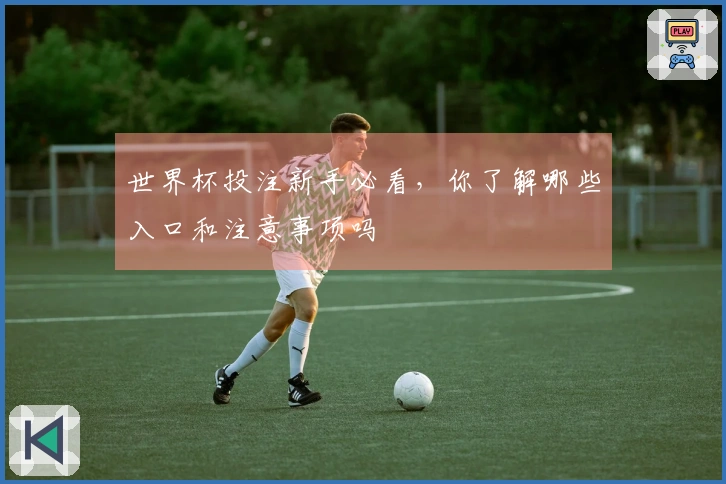 世界杯投注新手必看，你了解哪些入口和注意事项吗