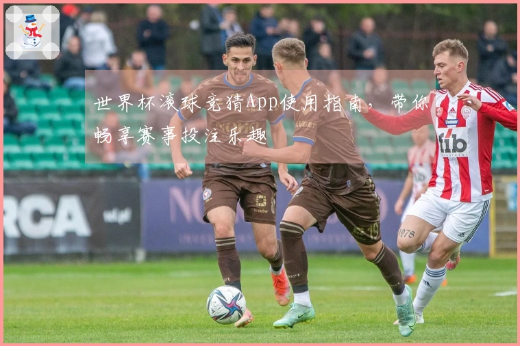 世界杯滚球竞猜App使用指南，带你畅享赛事投注乐趣