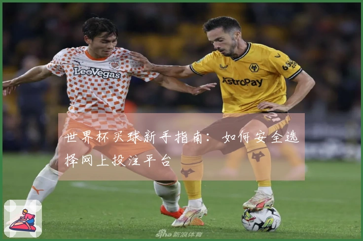 世界杯买球新手指南：如何安全选择网上投注平台