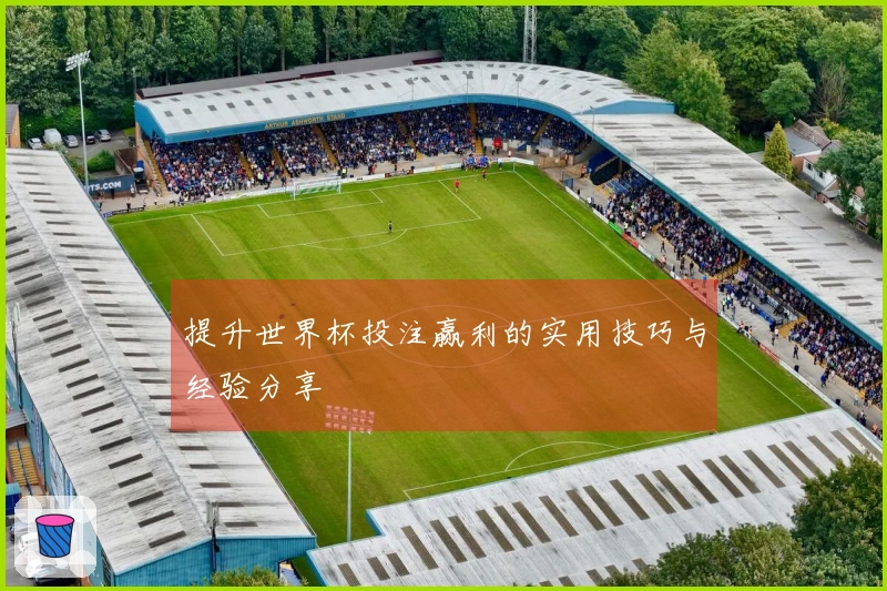 提升世界杯投注赢利的实用技巧与经验分享