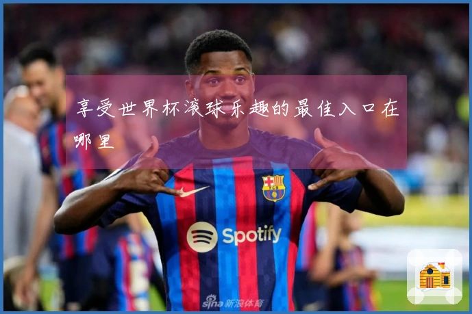 享受世界杯滚球乐趣的最佳入口在哪里