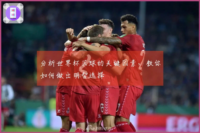 分析世界杯买球的关键因素，教你如何做出明智选择