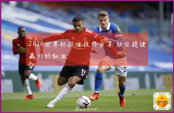 2026世界杯投注技巧分享 助你稳健赢利的秘诀