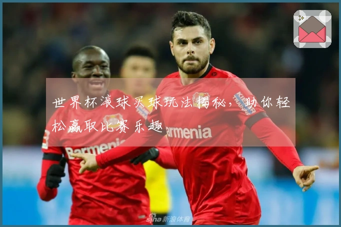 世界杯滚球买球玩法揭秘，助你轻松赢取比赛乐趣