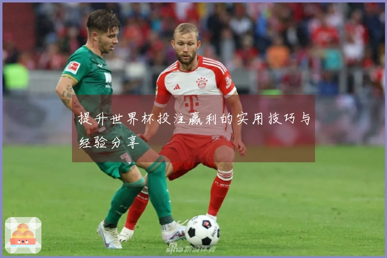 提升世界杯投注赢利的实用技巧与经验分享