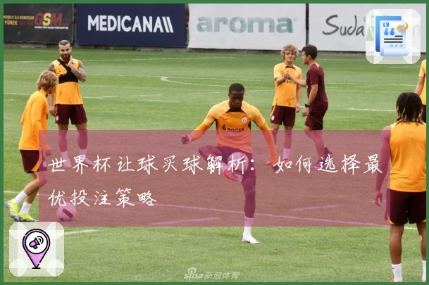 世界杯让球买球解析：如何选择最优投注策略