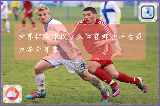 世界杯滚球投注入口在哪些平台最为安全可靠