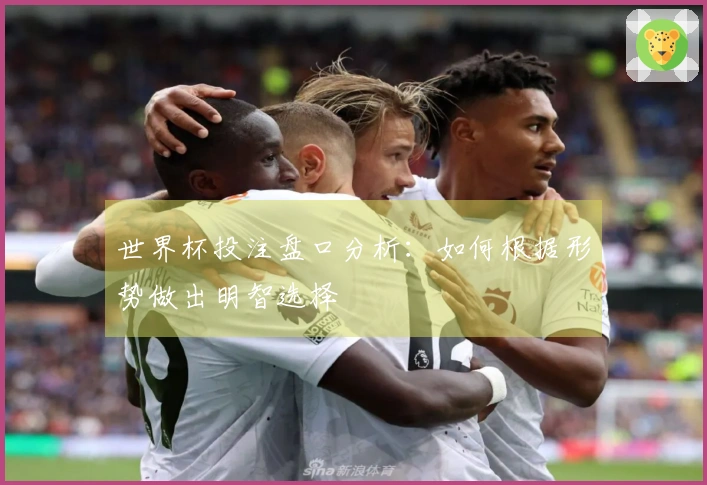 世界杯投注盘口分析：如何根据形势做出明智选择