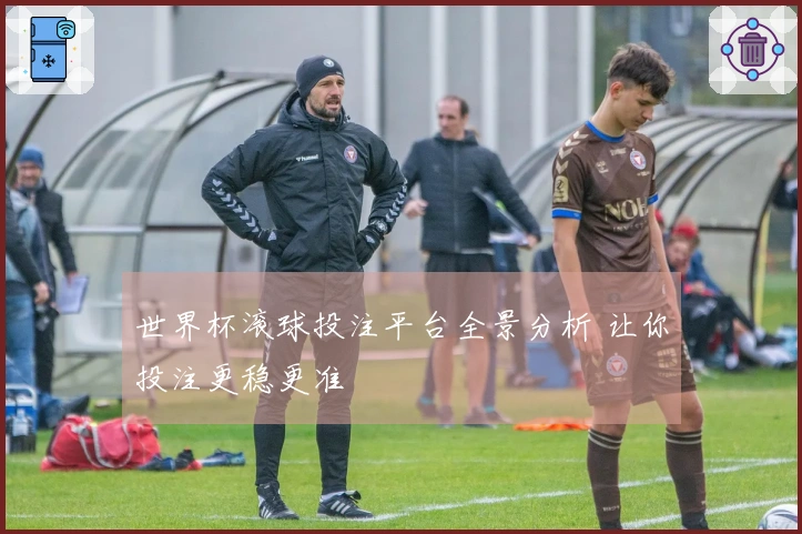 世界杯滚球投注平台全景分析 让你投注更稳更准