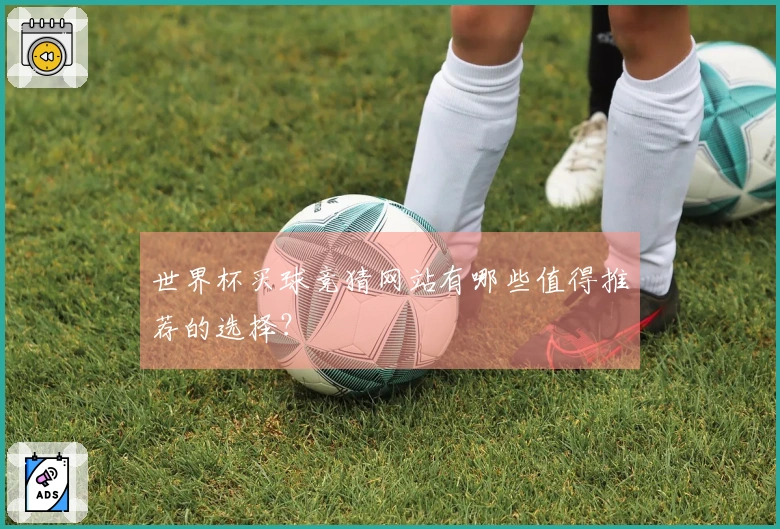 世界杯买球竞猜网站有哪些值得推荐的选择？