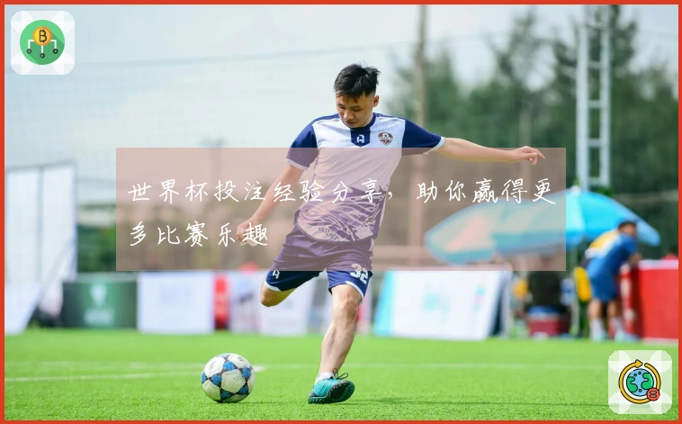 世界杯投注经验分享，助你赢得更多比赛乐趣