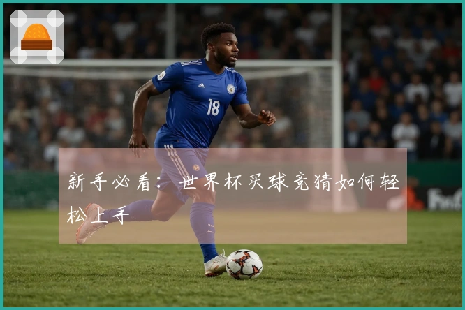 新手必看：世界杯买球竞猜如何轻松上手