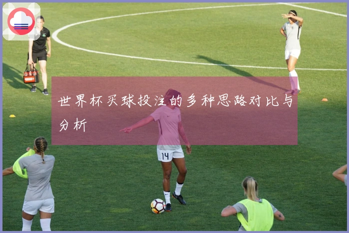 世界杯买球投注的多种思路对比与分析
