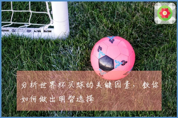 分析世界杯买球的关键因素，教你如何做出明智选择